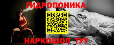 гидра Будённовск