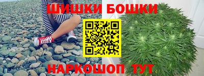 гидра Будённовск
