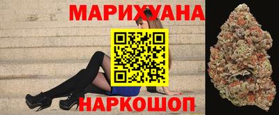 гидра Будённовск