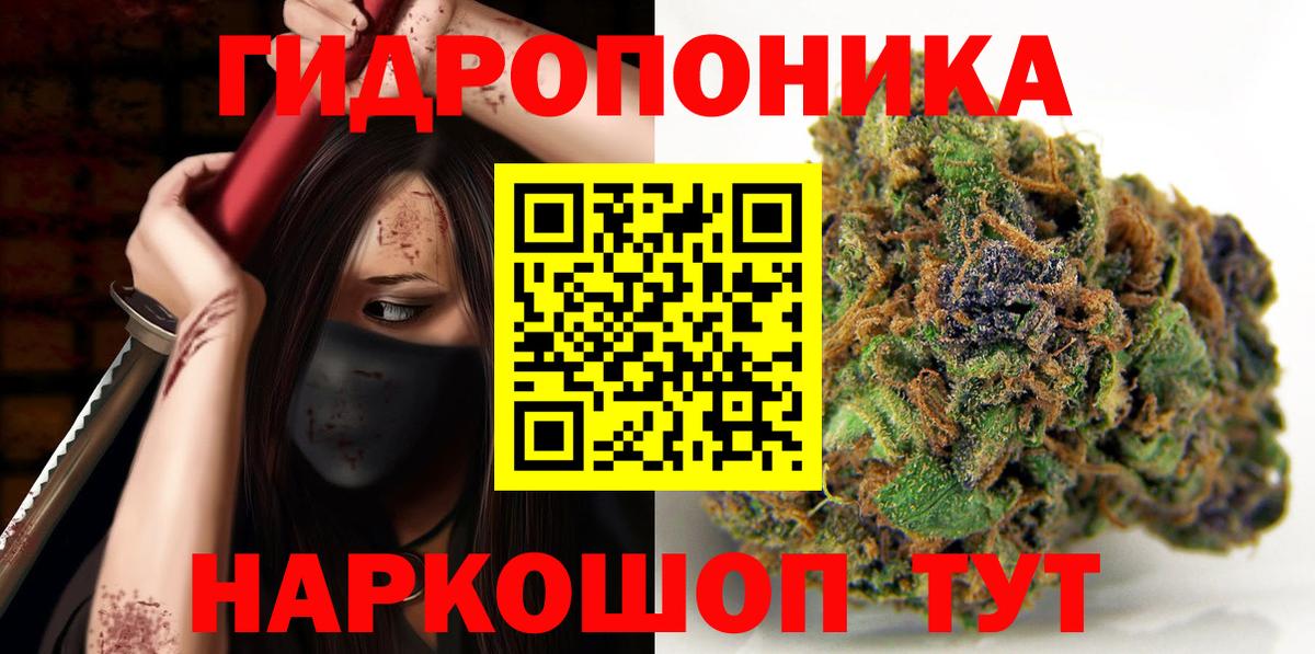 Шишки марихуана марихуана Нефтекумск